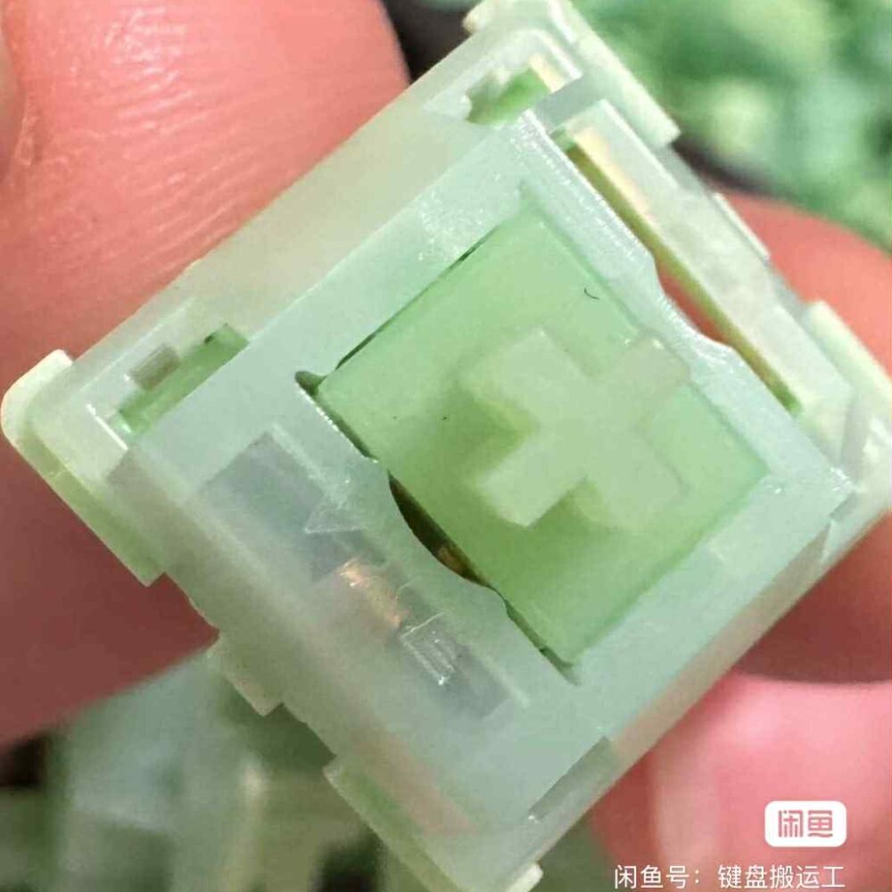 [Order] Switch Bsun Qinghai Lake