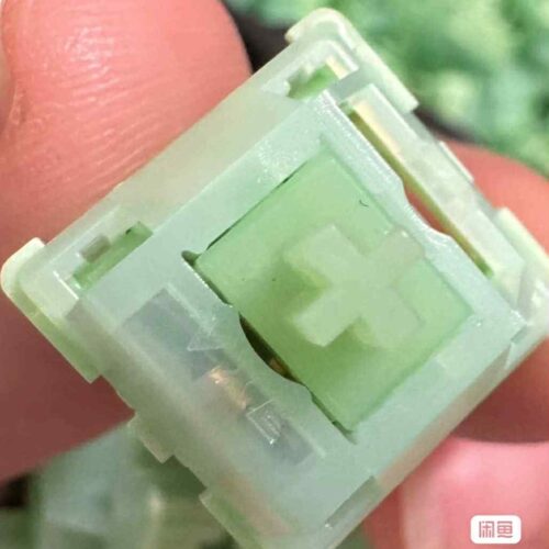 Switch Bsun Qinghai Lake